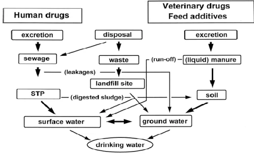 Figure 1.5 : Common pathways for pharmaceuticals to reach the environment  (Reemtsma 2006)