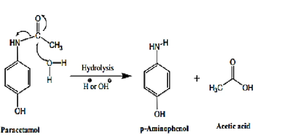 Figure 1.7:  Main pathways of Paracetamol metabolism in Animals 