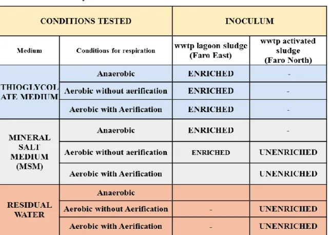 Table 2.1 summarises the several experiments performed to assess paracetamol biodegradation