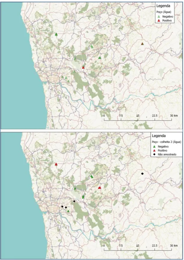 Figura  5:  Resultados  da  deteção  de  MAP  nas  colheitas  1  e  2  das  águas  de  poço