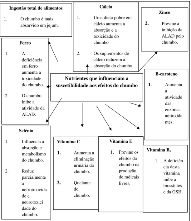 Figura  2  –  Fatores  nutricionais  conhecidos  que  influenciam  a  susceptibilidade  aos  efeitos  do  chumbo [Adaptado de (Ahamed, 2007)]