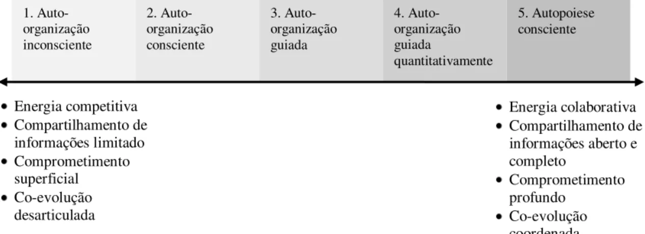 Figura 7: Níveis de adaptação do Modelo de Adaptação Evolucionária da Vantagem da Complexidade  Fonte: Elaborado pela autora com base em Kelly e Allison (1998)