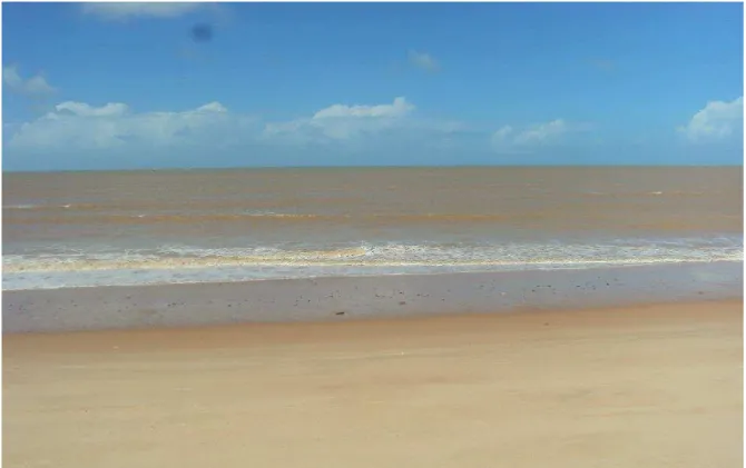 Figura 5. Vista da Praia de Cabo Branco, João Pessoa  –  PB. Fonte: Gilmara Henriques Araujo, 2012