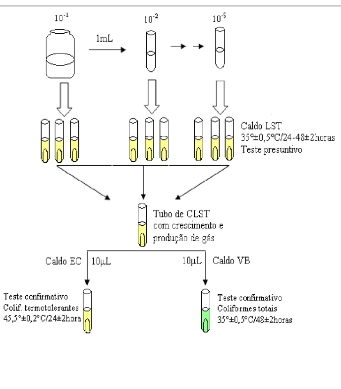 Figura 3: Técnica para determinação do NMP de coliformes totais e termotolerantes.  