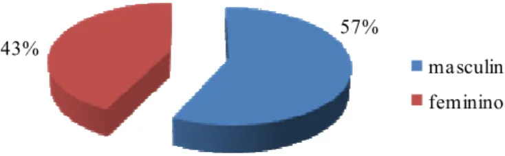 Figura 2. Distribuição do grupo dos técnicos em função do sexo 