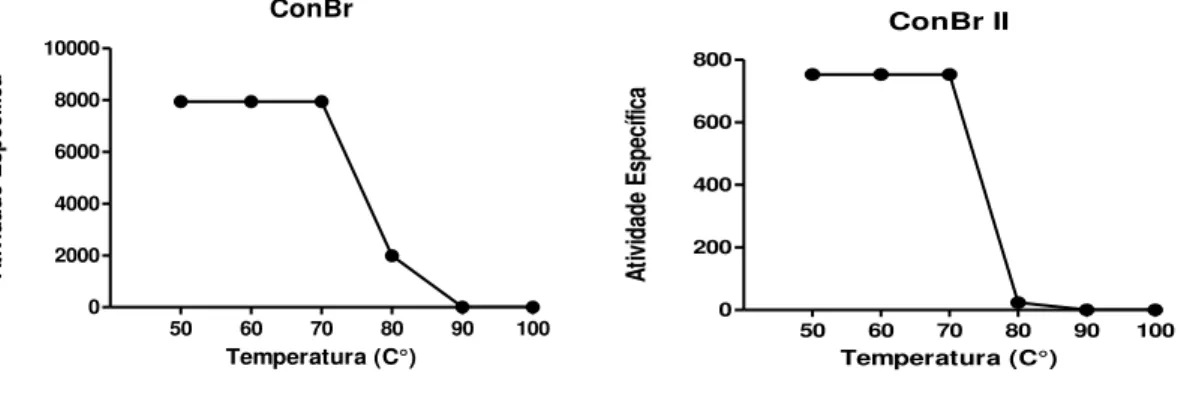 Figura  7  -  Efeito  da  temperatura  sobre  a  atividade  específica  das  lectinas  de  sementes  de  C