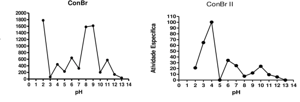 Figura  8  -  Efeito  do  pH  sobre  a  atividade  específica  das  lectinas  de  sementes  de  C
