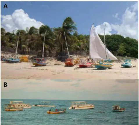 Figura  5  – Censo  das  embarcações  pesqueiras  de  Maracajaú.  A)  Embarcações  encalhadas  na  praia,  B)  Embarcações ancoradas no mar