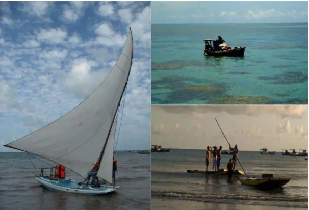 Tabela 3  – Recursos pesqueiros registrados nos desembarques da pesca artesanal na Praia de Maracajaú,  lista de nomes populares, número de indivíduos capturados e biomassa total por espécie