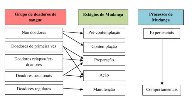 Figura 4 - Classificação dos doadores de sangue segundo o modelo transteórico de mudança comportamental  de Ferguson e Chandler (2005)  Contemplação  Pré-contemplação  Preparação  Ação  Manutenção 