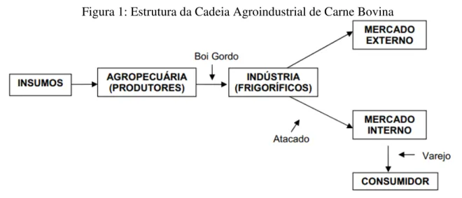 Figura 1: Estrutura da Cadeia Agroindustrial de Carne Bovina 
