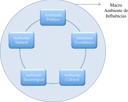 Figura 2 – O macro ambiente de influências externas.  
