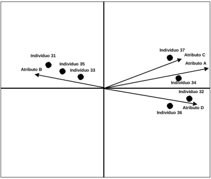 Figura 3-1 - Representação HJ-BIPLOT 