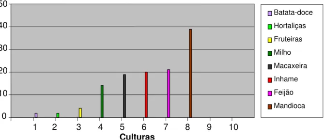 Figura 2 - Número de famílias produtoras e as principais lavouras cultivadas safra 2006