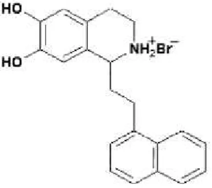 Figura 9: Estrutura química do alcaloide THI 52. Fonte:  KANG et al.( 2003) 
