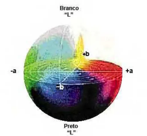 Figura  12  -  Escala  de  cor  CIEL*a*b*,  utilizada  nas  análises  de  cor  do  camarão  marinho L