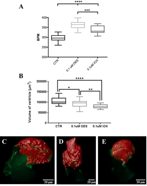 Fig. 1. Box and whisker plot (minimum and max- max-imum) of (A) heart beats per minute (BPM) and (B) ventricle total volume in 48 hpf zebra ﬁ sh Tg ( ﬂ i1:EGFP) control (CTR) and 36 h-exposure embryos to DES and IOX