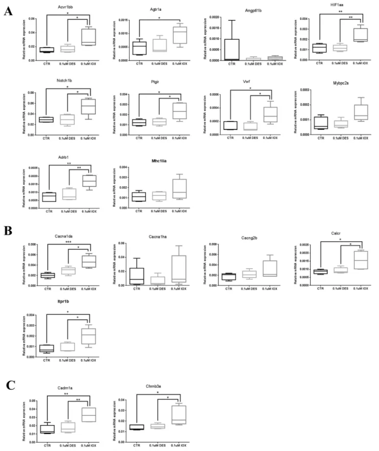 Fig. 4. qPCR validation of selected RNA-seq diﬀerential expressed transcripts between control, DES and IOX-treated zebraﬁsh embryos 48 hpf (36 h-exposure to chemicals)