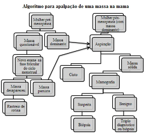 Figura 6 - Algoritmo de procedimentos efectuados na fase, pré-menopausica ou pós-menopausica  (adaptado de Lippman, 2013)