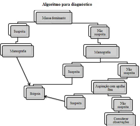 Figura 8 - Algoritmo da técnica de triplo diagnóstico (adaptado de Lippman, 2013)