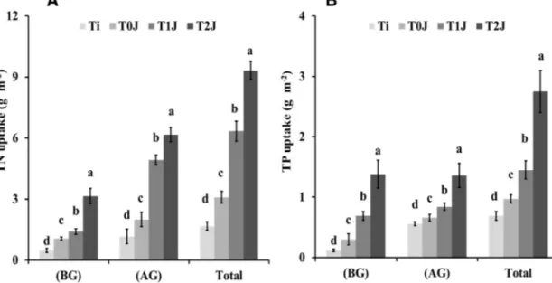 Fig. 2. Total nitrogen (TN) (A) and total phosphorus (TP) uptake (B) (expressed in g m −2 ) in belowground (BG), aboveground (AG) and total biomass (BG + AG) at the initial (Ti) and at the end of the experiment (Tf): T 0J – standard nutrient solution, T 1J
