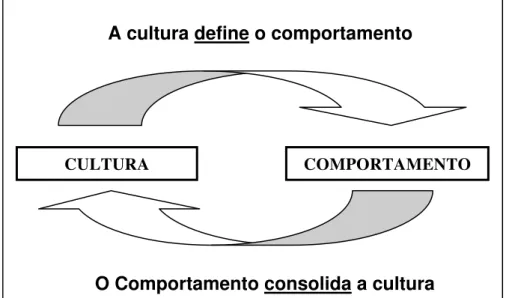 Figura 1: Cultura e comportamento 