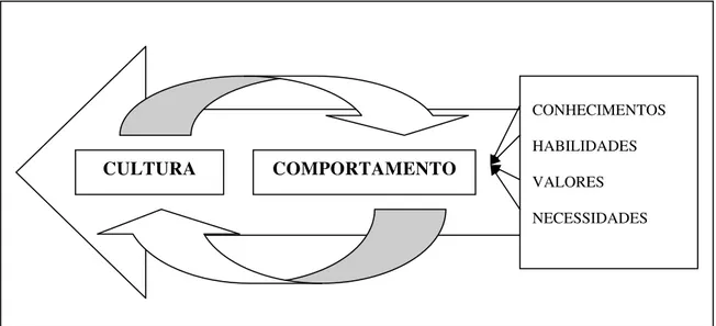 Figura 2: A composição da cultura através das dimensões do comportamento   Fonte: Zago, 2000