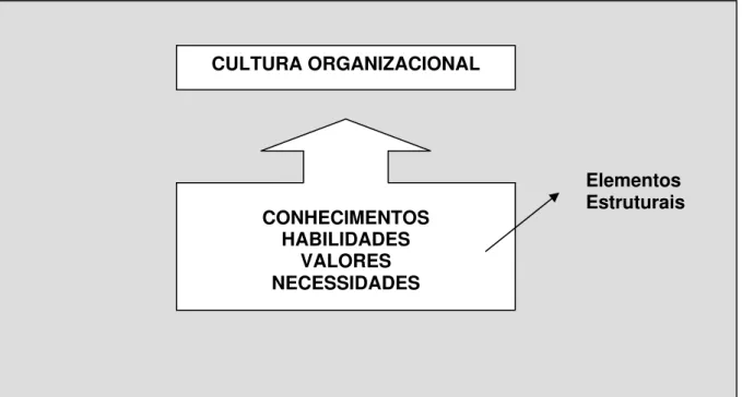 Figura 3: Elementos de natureza estrutural da cultura organizacional CULTURA ORGANIZACIONAL  Elementos  Estruturais CONHECIMENTOS HABILIDADES VALORES NECESSIDADES  Fonte: Zago, 2000