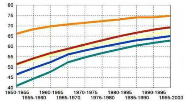 GRÁFICO 1 - EXPECTATIVA DE VIDA, SEGUNDO A FAIXA ETÁRIA. 