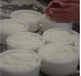 Ilustração 1 – Processo de fabricação dos queijos “tipo coalho” 