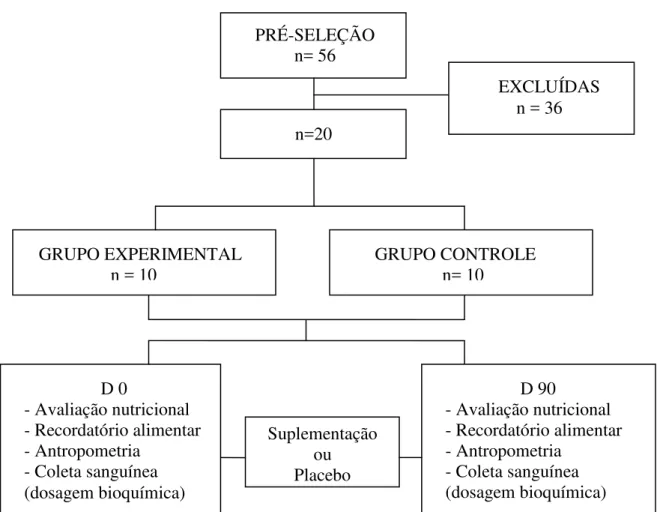 Figura 2- Protocolo Experimental 
