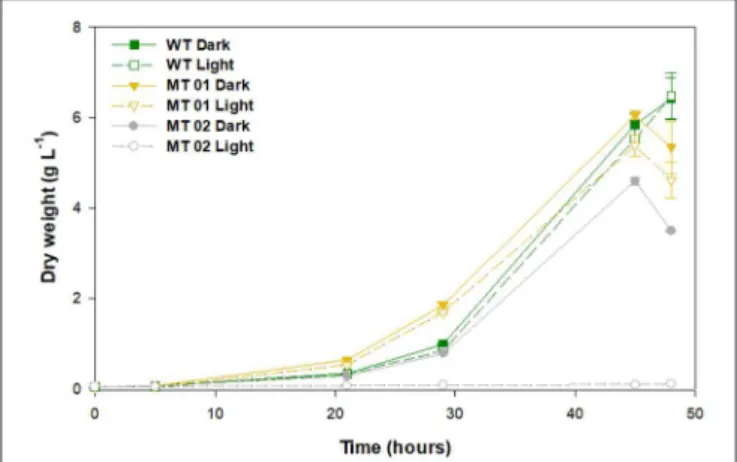 FIGURE 2 | Growth curves of wild type and mutants, under light and dark conditions grown in 250-mL Erlenmeyer flasks for 48 h.