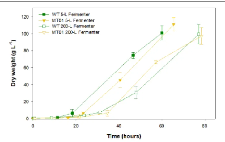 TABLE 2 | Proximate composition of macronutrients of Chlorella vulgaris WT and mutants presented as percentage of dry weight.