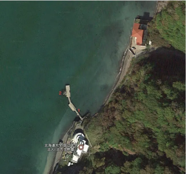 Figure 2.3 The sampling locations at the 1 first piling and 2 by the rocks of the pier of the Akkeshi Marine Station, Hokkaido,  Japan (Google, 2017).