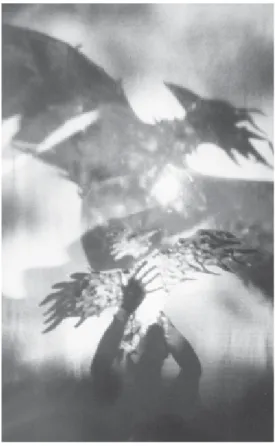 Figura 3: Teatro Gioco Vita. L’Uccello di Fuoco. Fábula para música e sombras de L’Oiseau de feu, de Igor Stravinsky