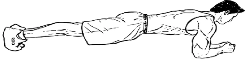 Figura 2 - Posição correta da prancha 