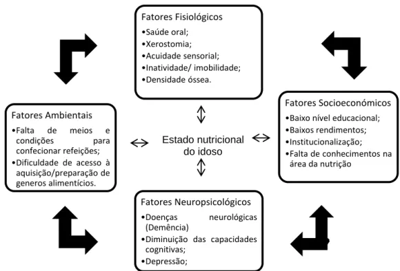 Figura 1: Fatores que podem condicionar o estado nutricional do idoso.  (11),(32),(29)