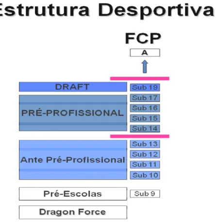 Fig. 4 – Estrutura Desportiva do FC Porto 