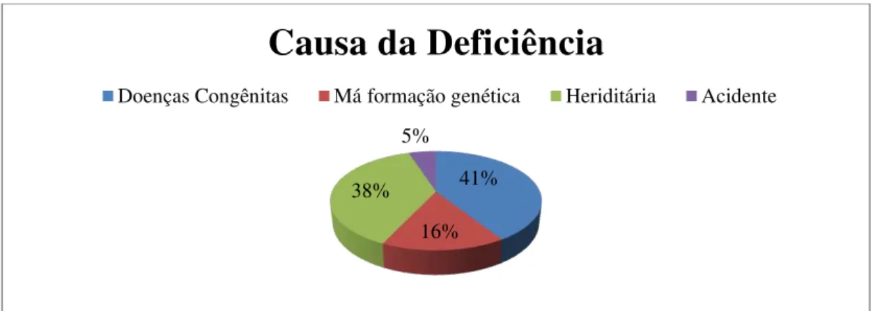 Gráfico 3: Demonstrativo das causas da deficiência visual dos entrevistados . 