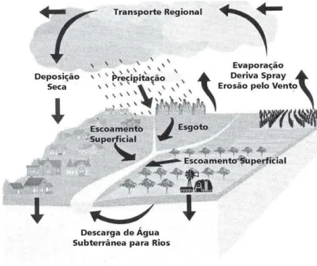 Figura 1. Potenciais vias para o movimento de agrotóxicos dentro e através de componentes do ciclo hidrológico
