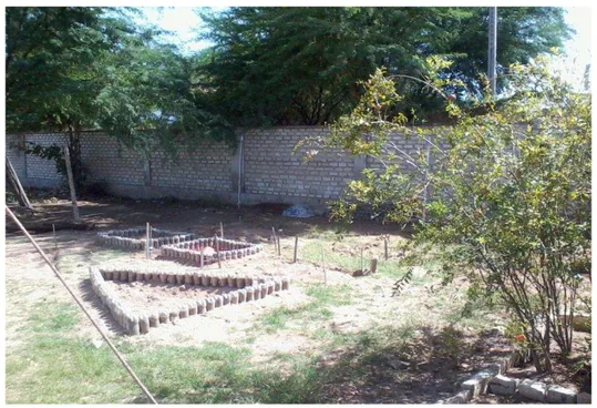 Figura 9  –  Preparação do espaço para cultivo de hortaliças na Escola B. 