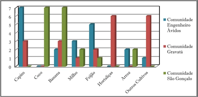 Gráfico 05 - Principais cultivos citados pelos entrevistados nas referidas comunidades