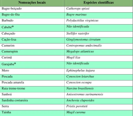 Tabela  1:lista  de  espécies  de  peixes  que,  segundo  os  pescadores,  deixaram  de  freqüentar  ou  diminuíram  sua  abundância no ERM