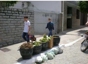 Figura 10: Separação do lixo doméstico feita pela população de Pocinhos - PB   Fonte: Fernanda Tavares (2012)