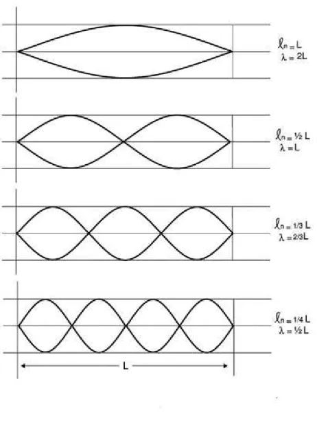 Figura 14: Ilustra¸c˜ao dos 4 primeiros harmˆonicos de uma onda estacionaria.