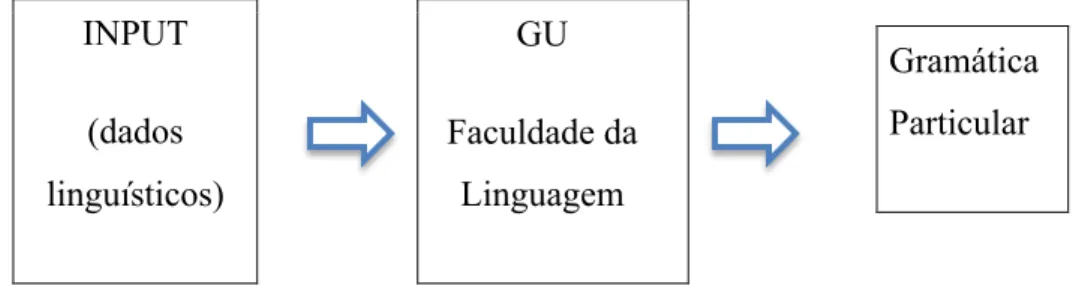 Figura 1: esquema de aquisição 4