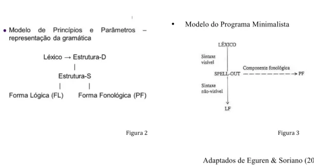 Figura 2   Figura 3  