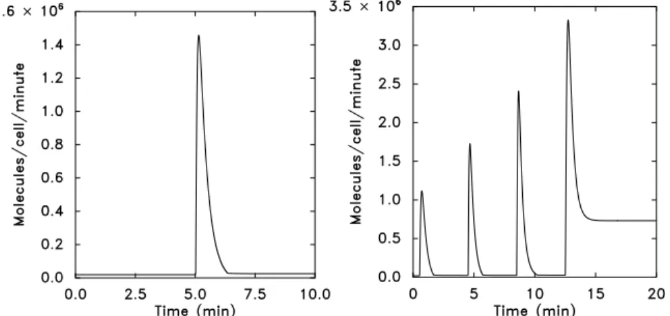 Figure 6.2. A schematic of the response of an adapting system to different stimuli.