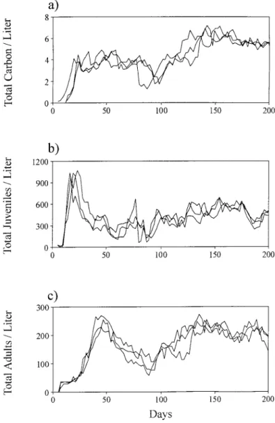 Figure 4.1. The dynamics of a population of D. pulex in laboratory transfer culture.