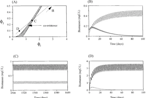 Figure 4.3. Competitive exclusion and coexistence as predicted by the model in Sec- Sec-tion 4.4
